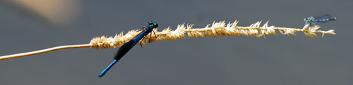 Missne_Natur1